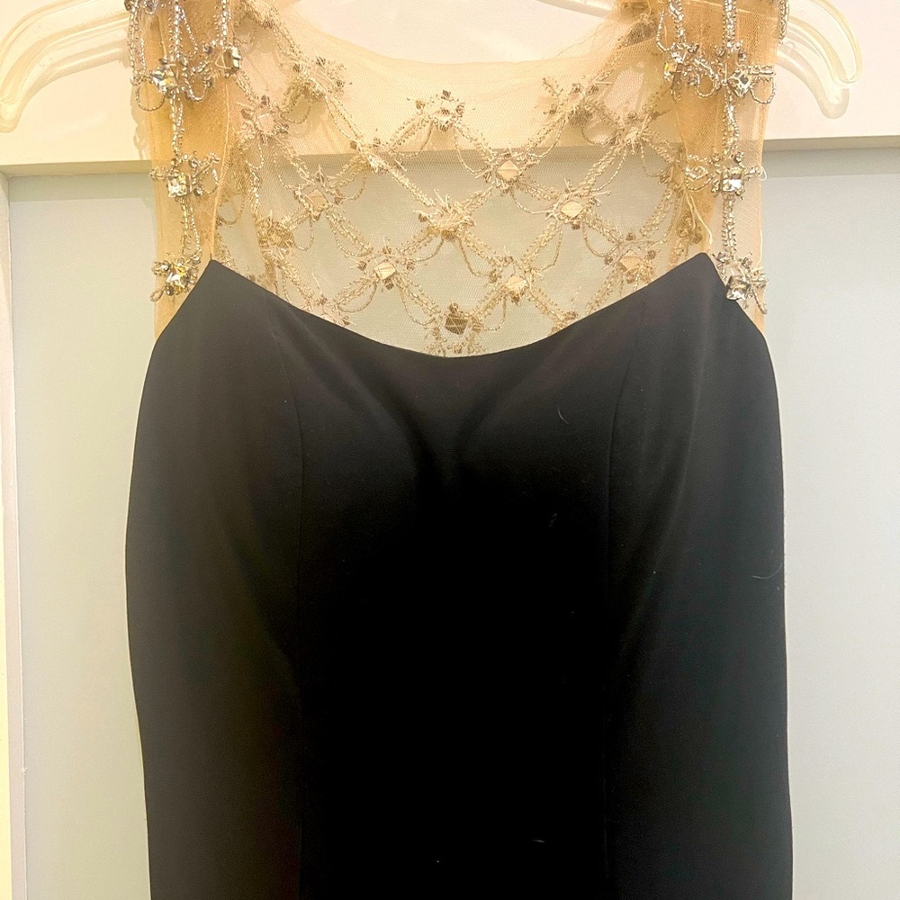 TERANI COUTURE SCOOP NECK CRYSTAL BACK GOWN Size 6